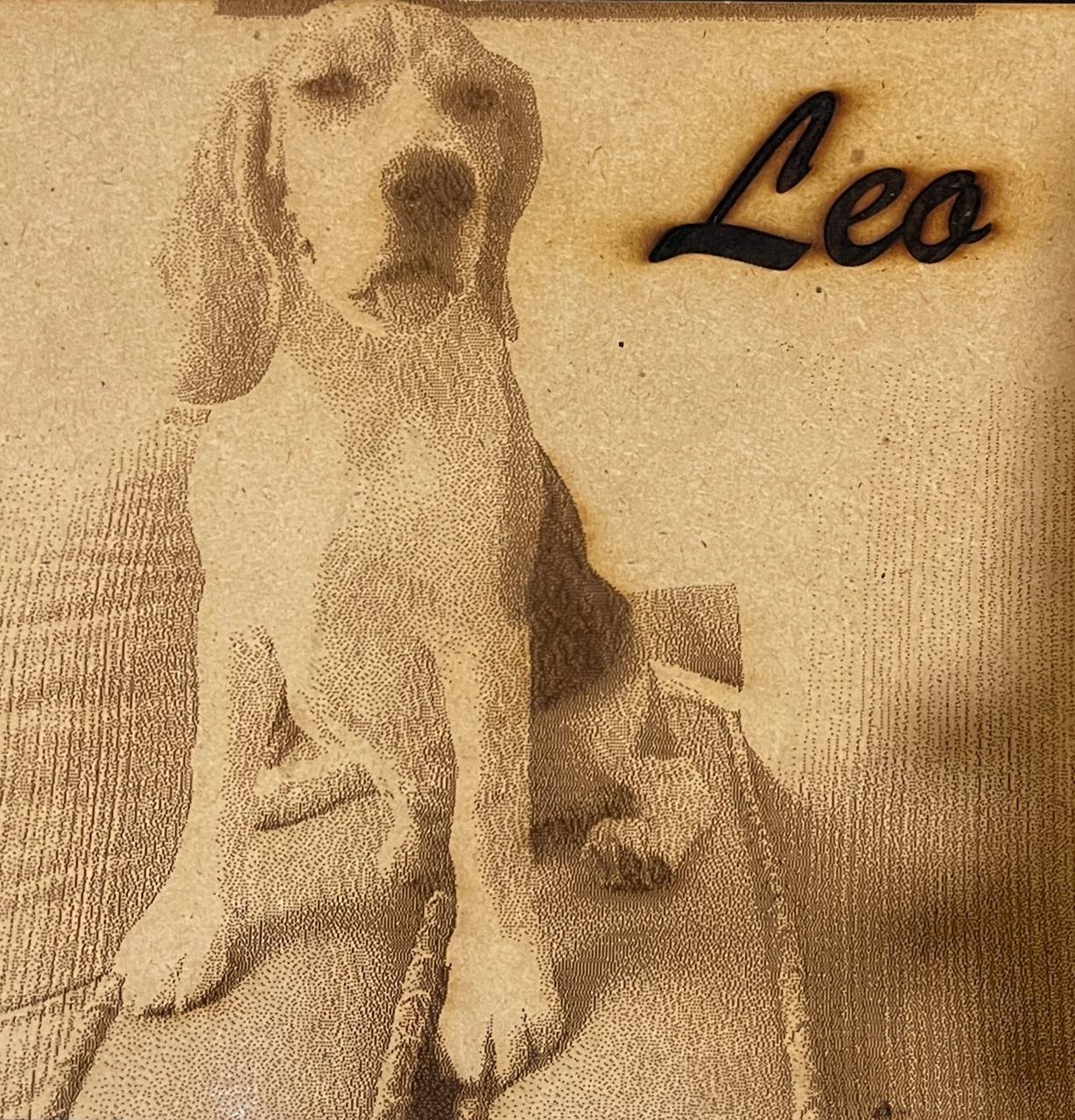 Leo's finished laser-engraved wooden portrait with his name